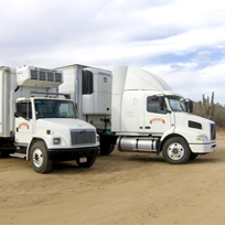 transportes cabo